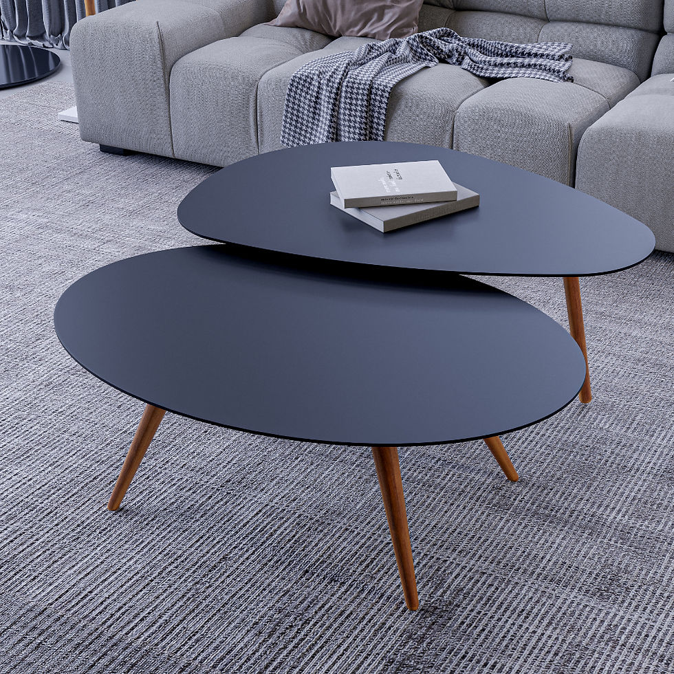 Miniatura: Vesta organic rectangular center table in black lacquer finish, front view showing kidney-shaped tabletop and tapered solid w