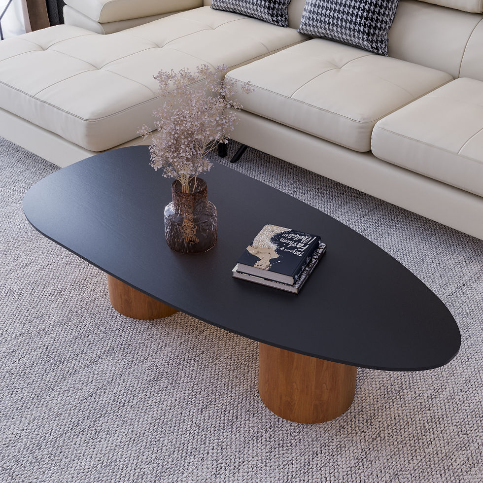 High-end Gama organic coffee table with a sleek matte black finish and solid wood base.