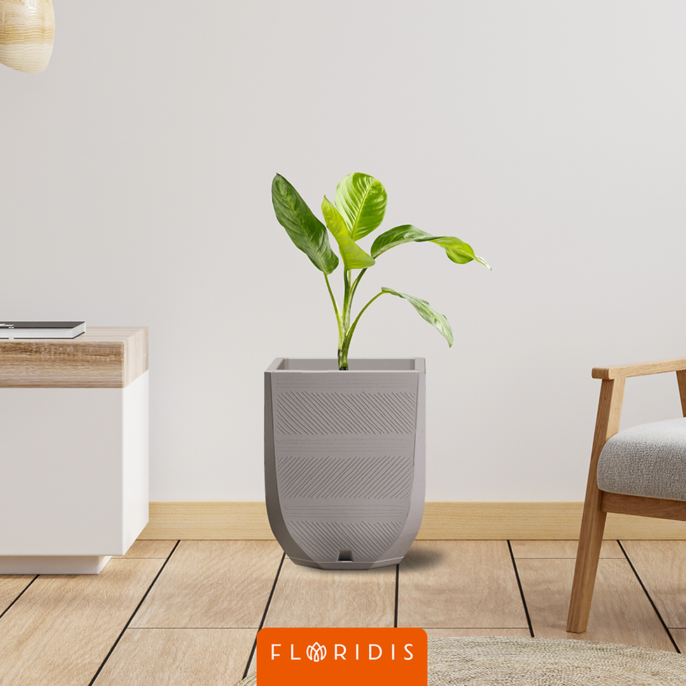 الصورة المصغرة: 4YOU Florero con platillo
