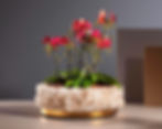 Crystal Quartz Table Center Piece