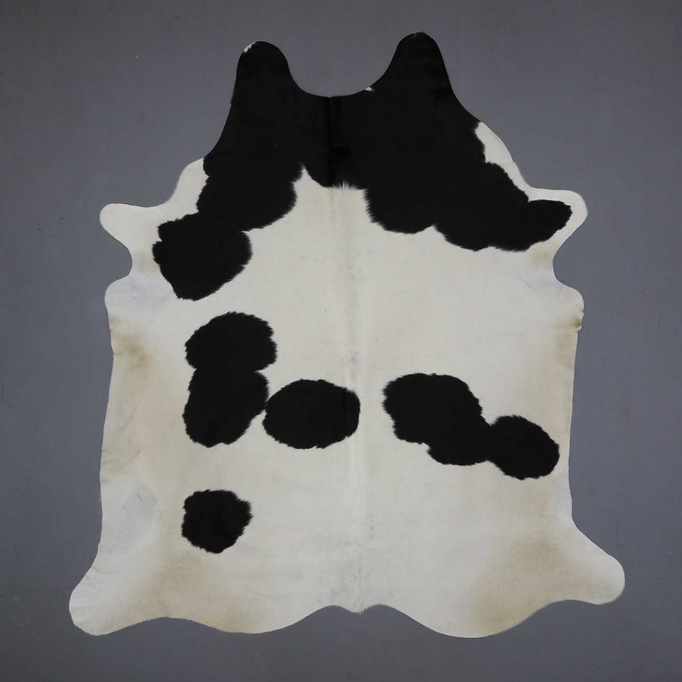 الصورة المصغرة: Piel cuero vaca blanca con grandes manchas negras irregulares, estilo Holstein clásico.