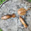 Miniatura: Wooden Dolphin & Manatee Craft