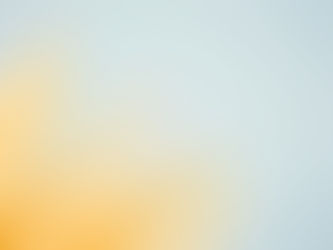 Choosing the Right SEO Software: Key Features to Look for in Rabbit SEO