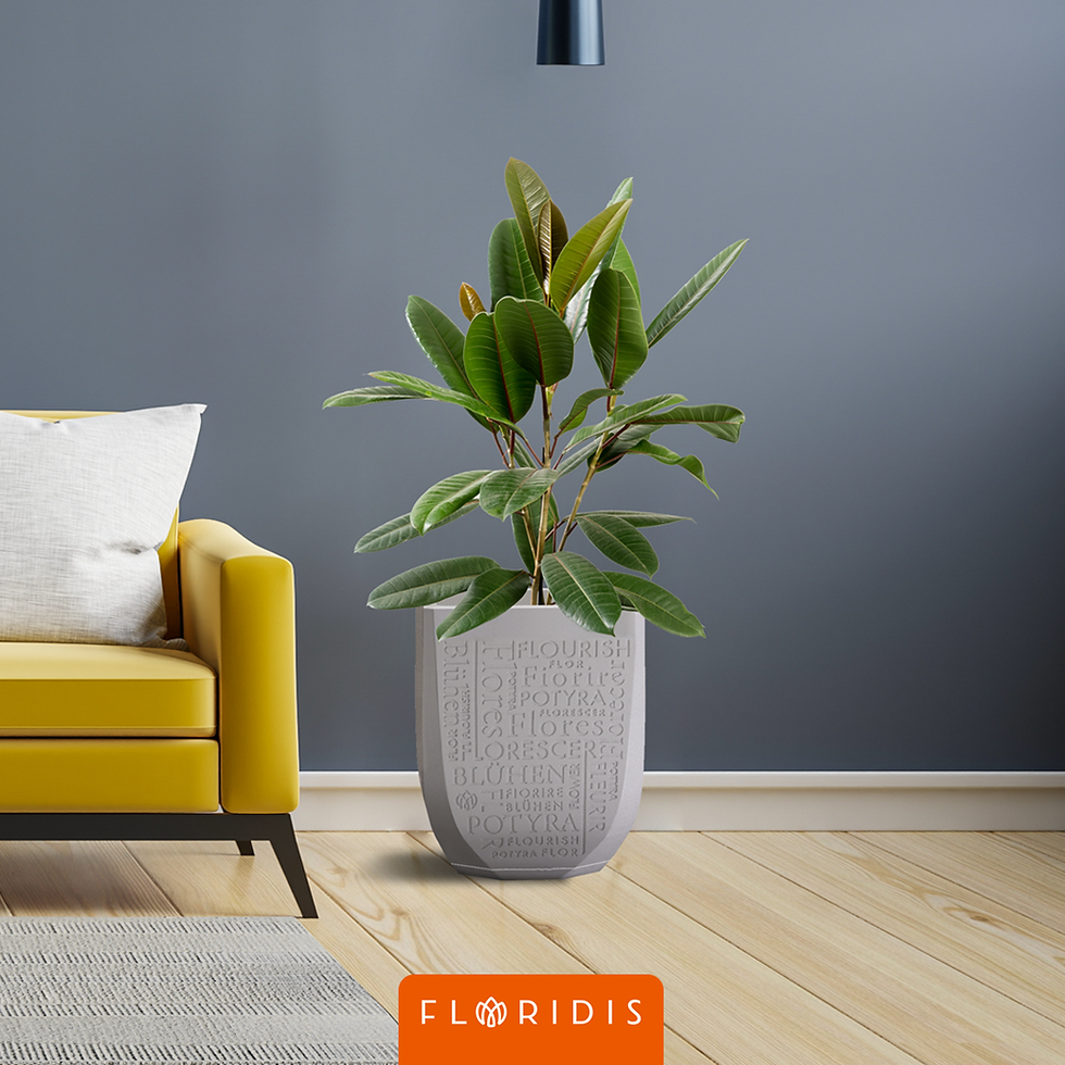 الصورة المصغرة: 4YOU Florero con platillo