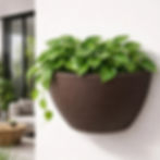 Maceta de pared marron modelo Amazonas texturizada, marca Verdy. Exibida en pared blanca con plantas vivas.