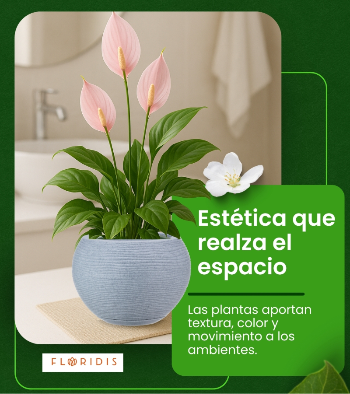 Light gray rotomolded plastic flower pot in a neutral-toned bathroom.