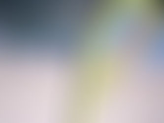 2026-03-30 蛋蛋蛋蛋