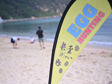 2026-03-30 蛋蛋蛋蛋