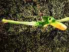IMG_20250126_144517_1_edited_edited.jpg