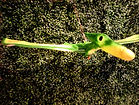 IMG_20250126_144517_1_edited_edited.jpg