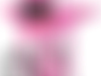 What I Will Bring to Your Event