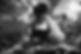 Chef Rex_copywright Jonathan Clough Oct 24_005B.jpg
