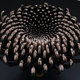 たから⑬ 田中陽子（茨城県）