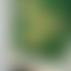 うまこゆる① 尾崎和美と川上真子