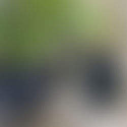 中里花子⑥ 明日月曜日まで「夜の色」