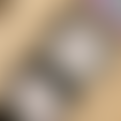 松尾穂波③ KOBAKO