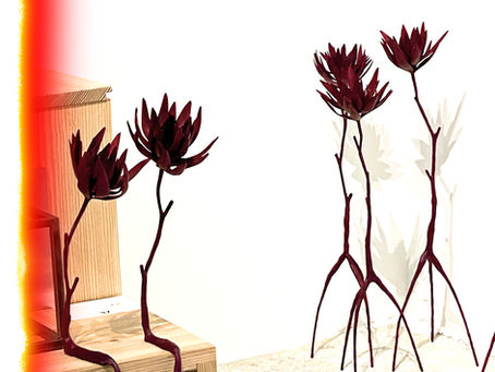 BIOME観察ノート③　　　　　　　　　　　