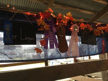 22366501_10213006618432760_1346536018521