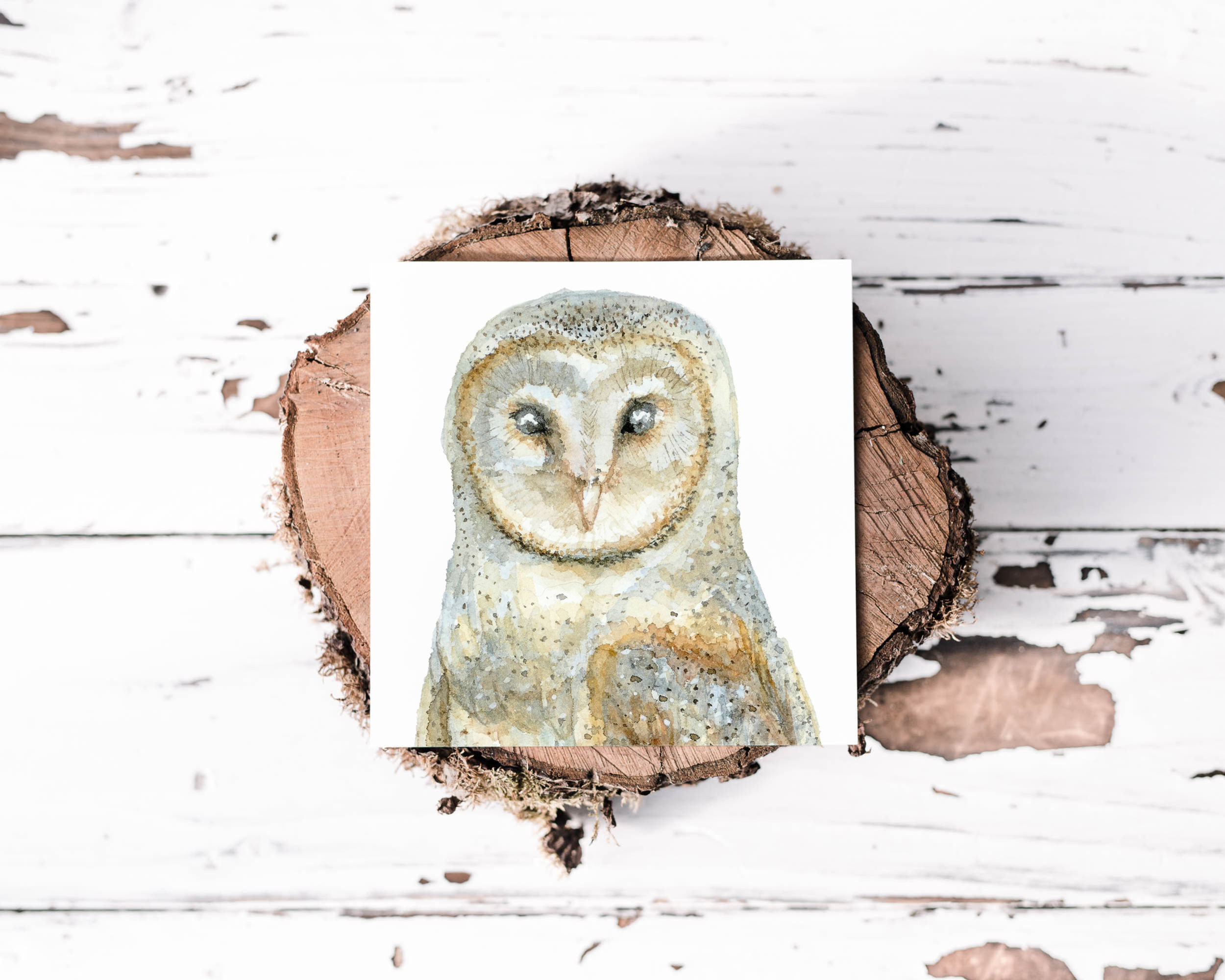 Barn Owl Greeting Card