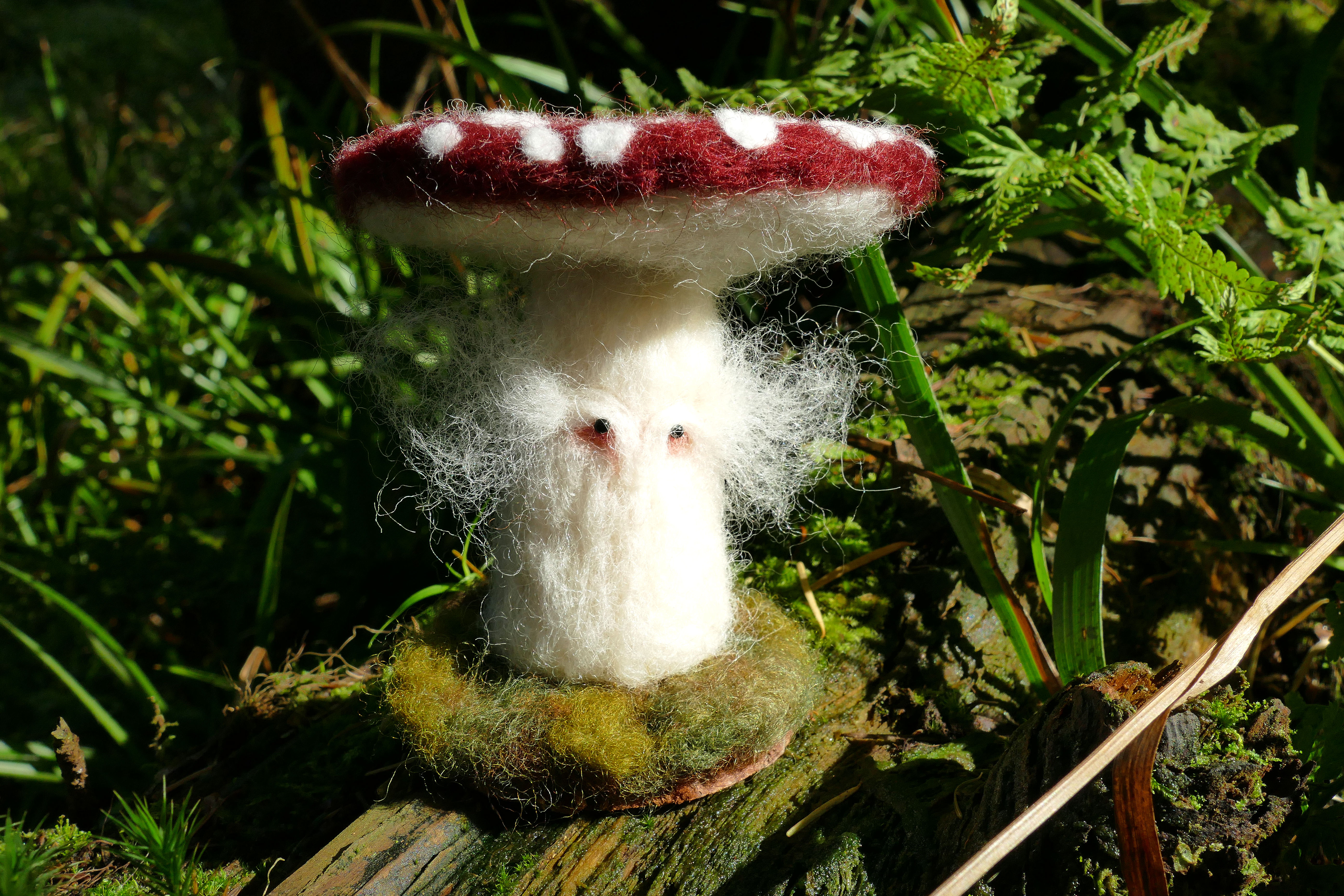 Elder Mushroom