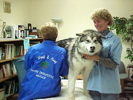 K9 massage.jpg