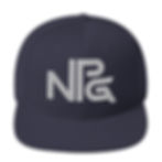 Thumbnail: NPG Snapback