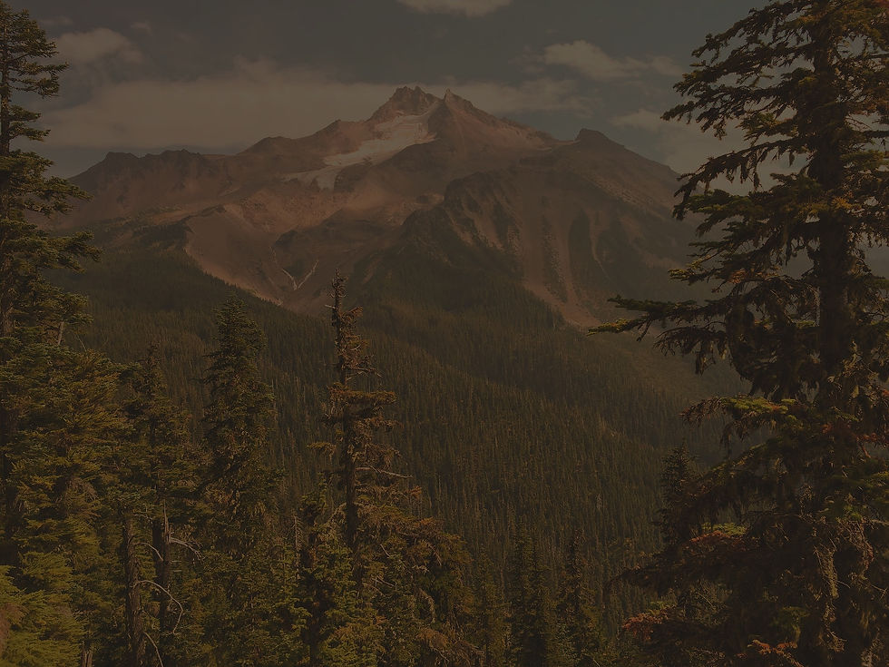 oregon forests_edited.jpg