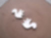 squirrelearrings