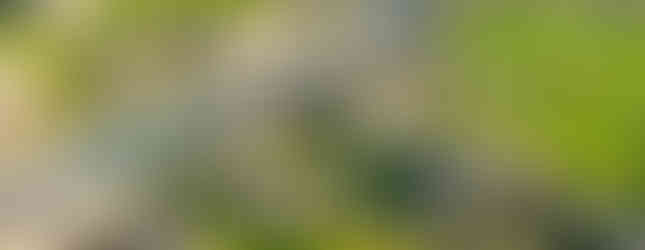 Памуккале-Pamukkale-Иераполь-Иераполис-Хиераполис-Hierapolis