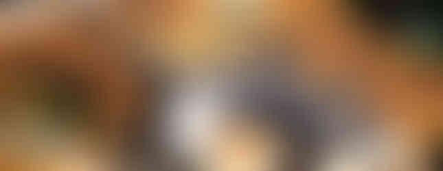 КСАНТОСС, Xantos