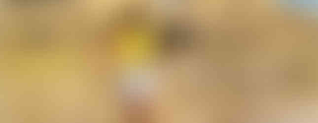 Професійний ліцензований гід-екскурсовод