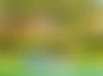 Дівич-вечір в Бодрумі