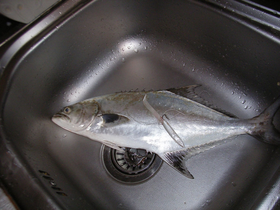 Прев'ю: рыбалка в турции,рыбалка в мармарисе фото,рыболовный тур в мармарисе