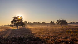 Heide10