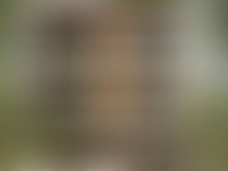 Top 5 Bungalow Renovation Ideas for Pimpri-Chinchwad, Pune