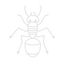 Ant