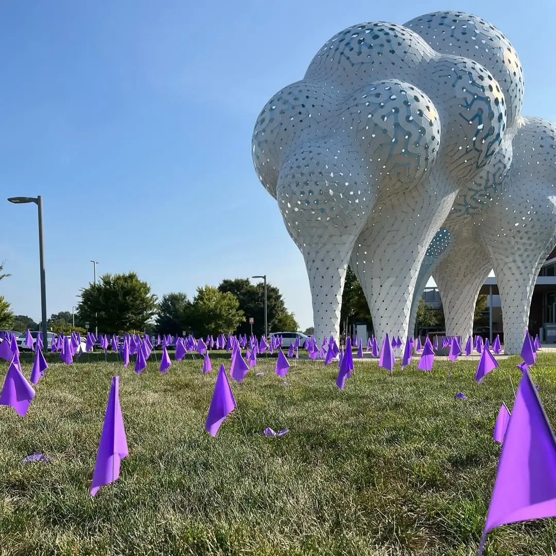 Purple flags representing the 291 county residents who died of opioid overdose in 2023 are displayed in Mecklenburg County, North Carolina, in recognition of International Overdose Awareness Day last August. (Mecklenburg County)