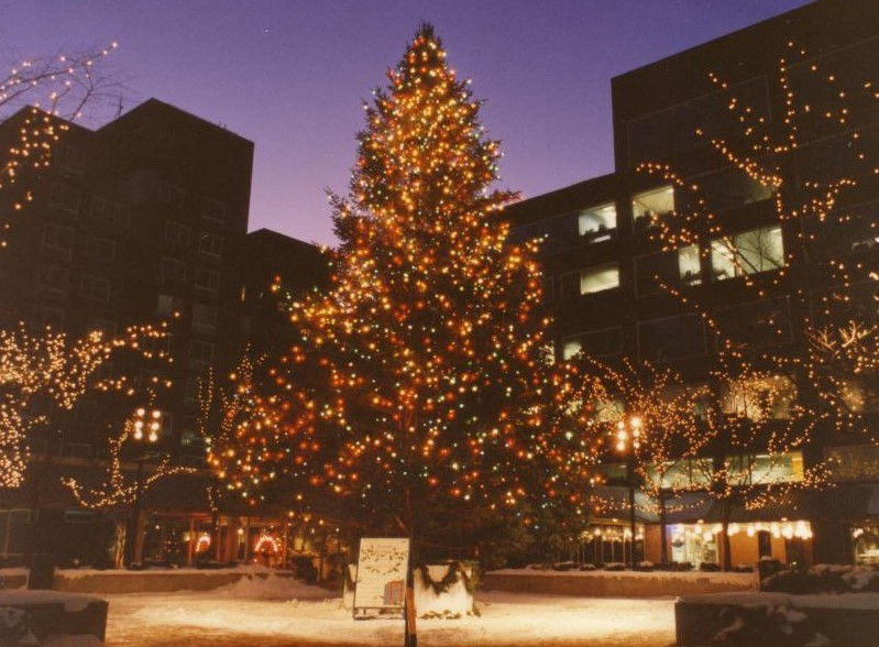 Charles Hotel Christmas Tree Lighting