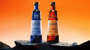 Pernod Ricard buys stake in non-alcoholic spirit brand Almave