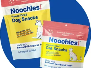 Further Foods submits trial design for cell-based meat in pet food to the FDA