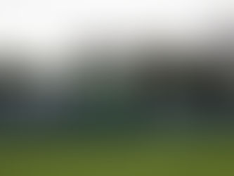 Opinion: Can COP29 be a catalyst for scaling the cultivated meat industry?