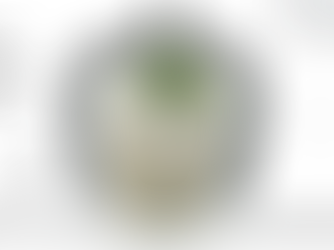 Vivici enters precision fermentation industry