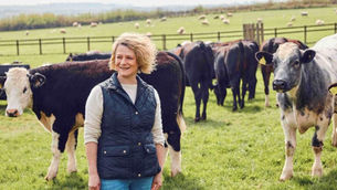 Lidl to invest £1.5bn in British beef production