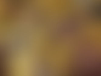 Believer Meats expands leadership team in preparation for commercialisation