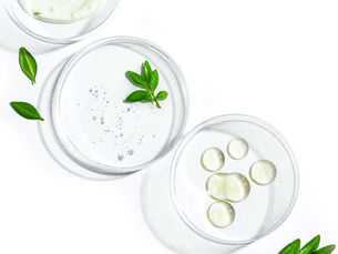 Japanese researchers develop low-cost FBS alternative