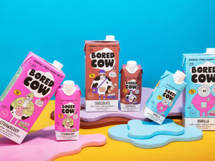 Bored Cow’s precision-fermented milk launches into Target stores across the US