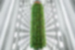Upward bound: Lessons learned from vertical farming 