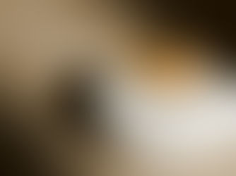 Haute cuisine: The rise of premium cultivated products