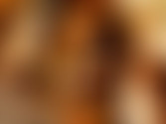 Florida Republican proposes bill to ban sale and distribution of cell-based meat