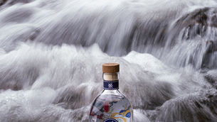 Spirited away: Celebrating the global rise of Asian spirits